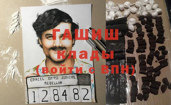 гидра Белокуриха