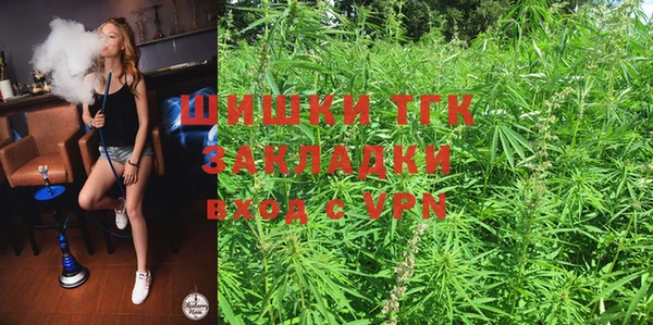гидра Белокуриха