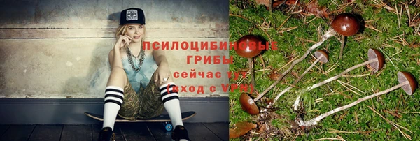 таблы Белоозёрский