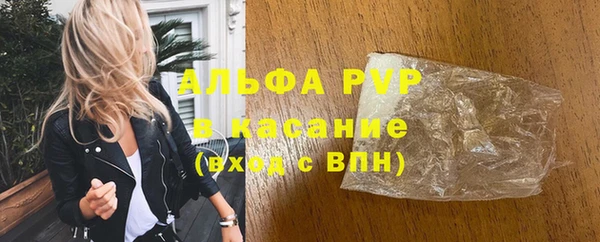 гидра Белокуриха