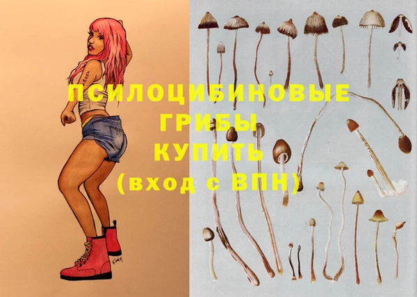 таблы Белоозёрский